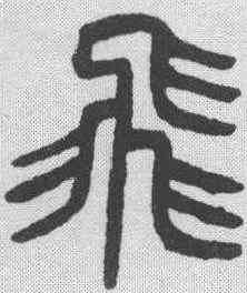 飞,楊沂孫 ,書法字典